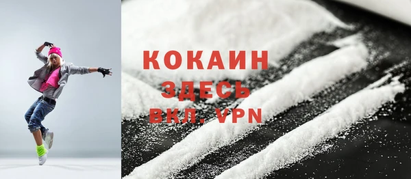 мдпв Гусев