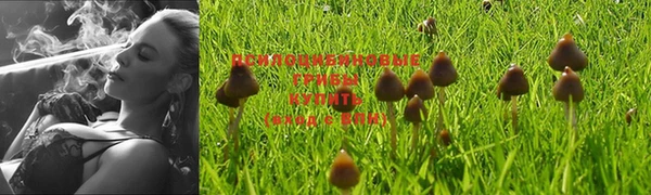 гашиш Абинск