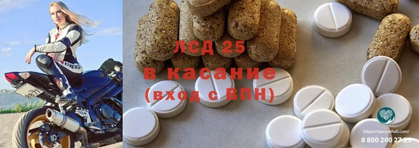 гашик Алзамай